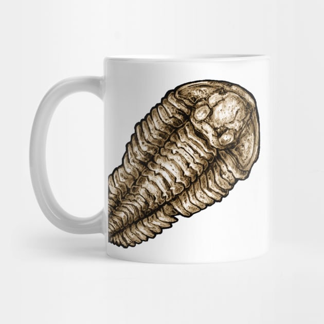 Calymene Trilobite Fossil Sticker by CassWArt